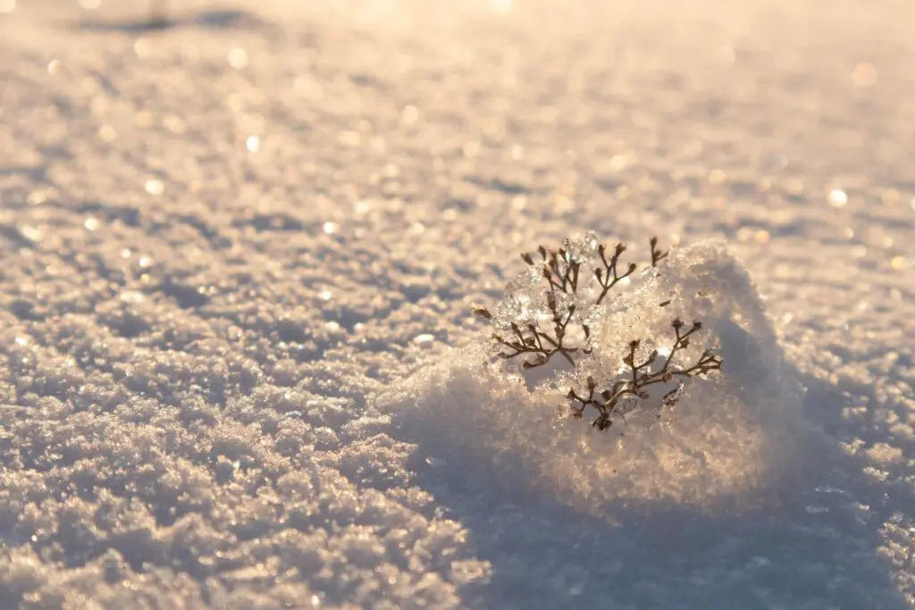 winter safety for kids - Do not take the sun for granted