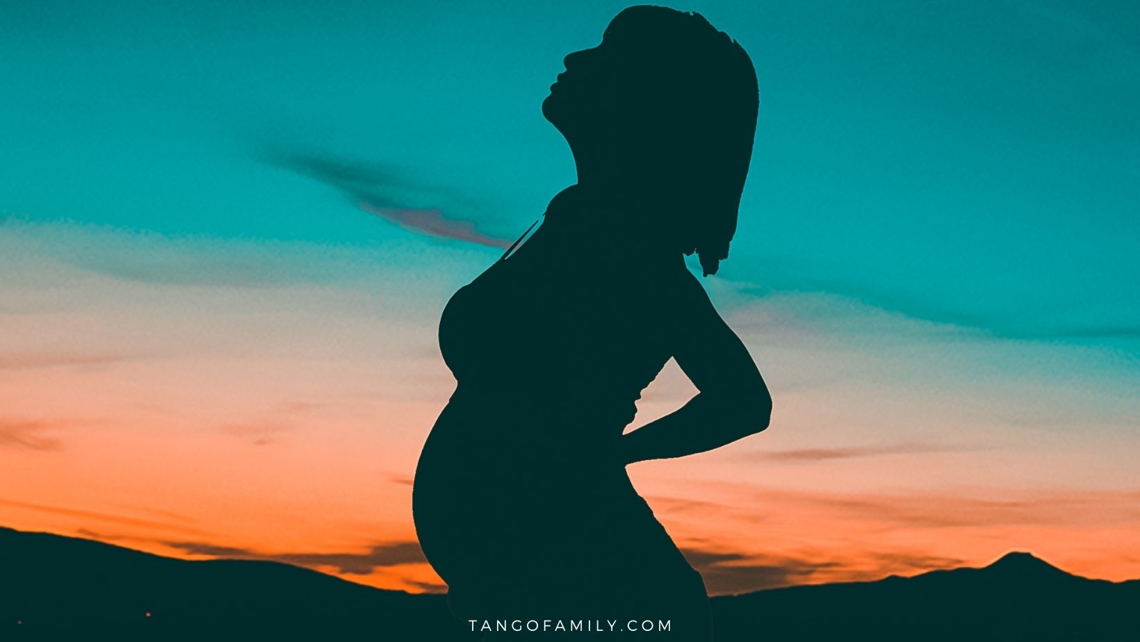 Pregnancy Period In Women