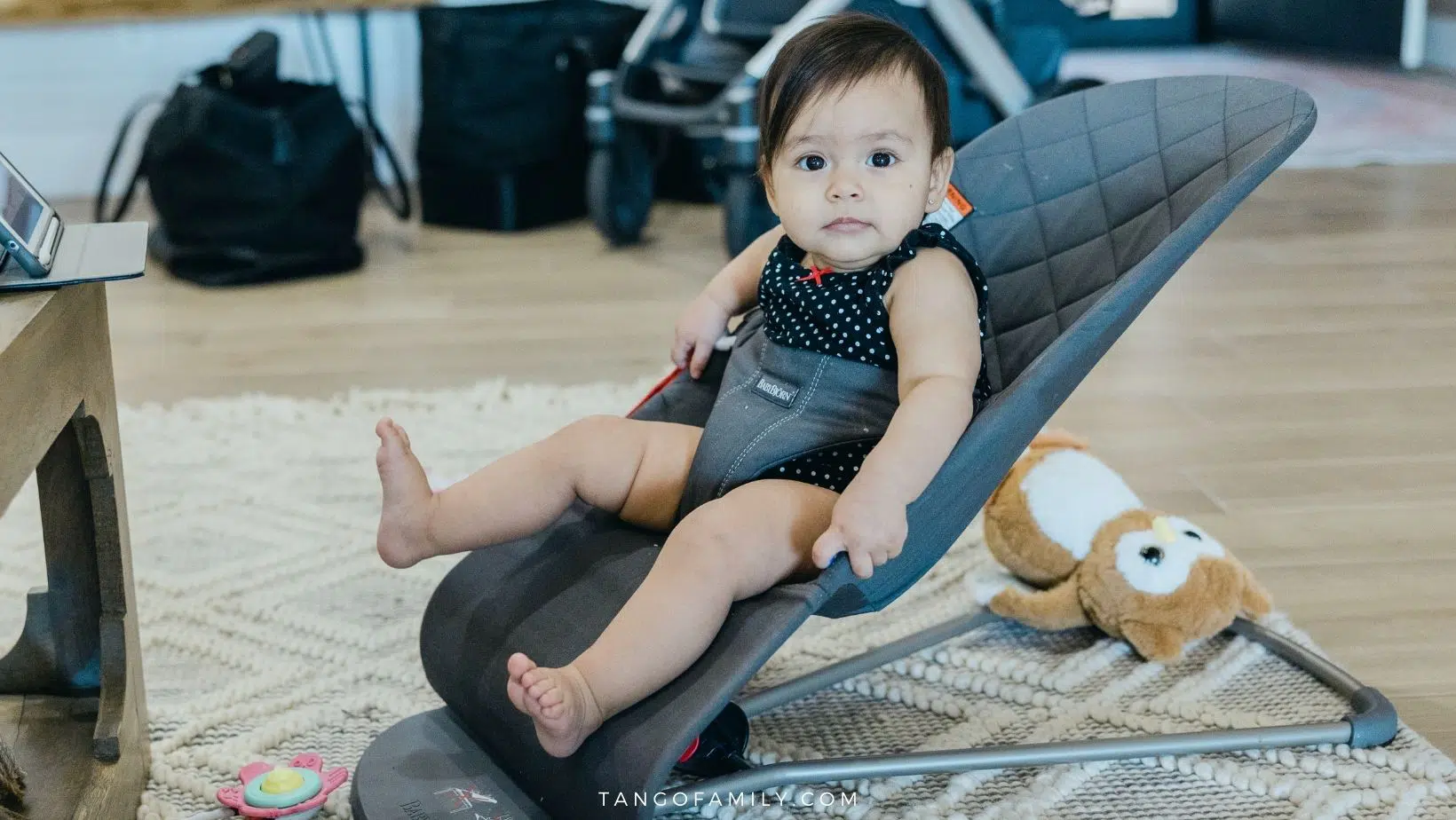 Top 10 Best Baby Bouncers and Rockers 2022