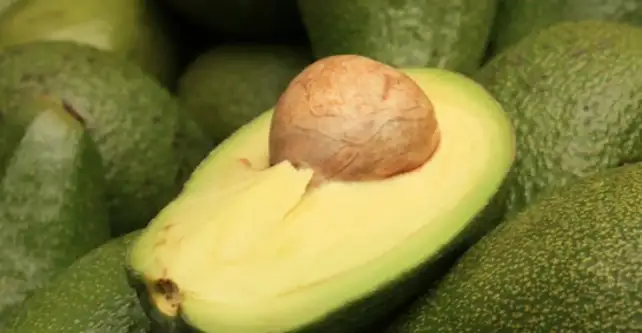 is avocado good for babies